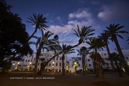 Image du Maroc Professionnelle de  Les palmiers du Jardin Arste Zerktouni, un des premier espace vert située à l'intérieur de la médina de Casablanca, Jeudi 22 Septembre 2016. (photo Abdeljalil Bounhar) 